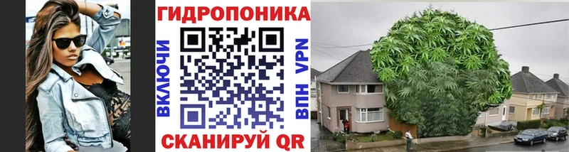мега как зайти где продают наркотики Каменск-Шахтинский Бошки Шишки семена